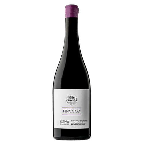 Bruma del Estrecho – Finca CQ