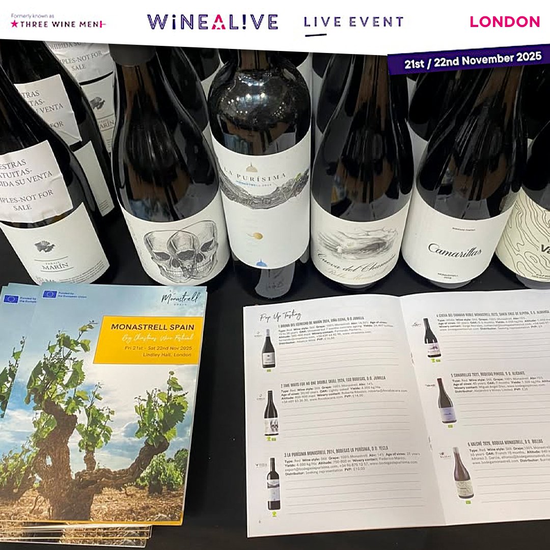 winter-wine-fest3 Wine Alive. Big Christmas Wine Fest. Bruma Marín